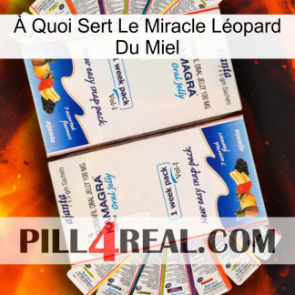 À Quoi Sert Le Miracle Léopard Du Miel kamagra1
